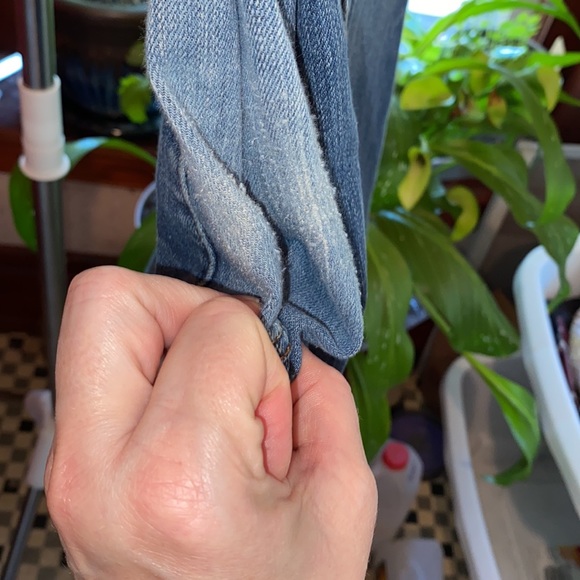 Lane Bryant Distinctly Bootcut - Picture 4 of 10